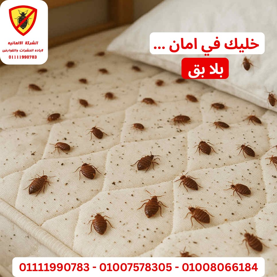 مكافحة بق الفراش - فيلا سكنية
