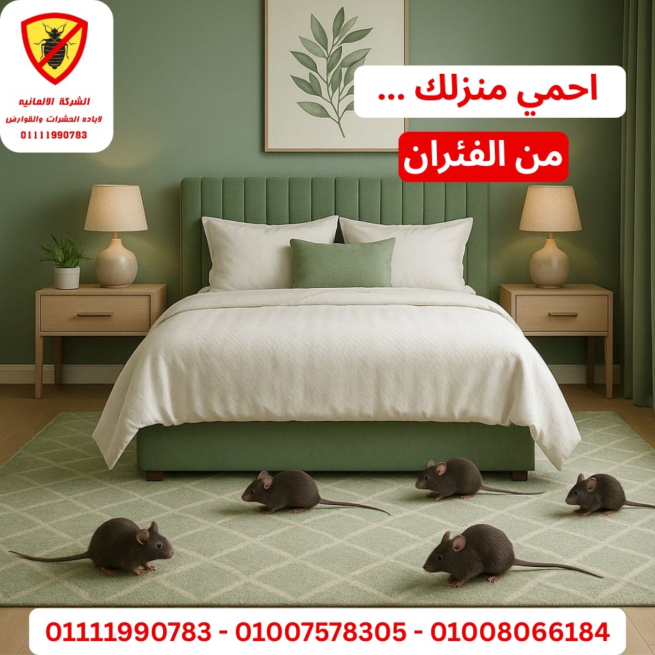 مكافحة الفئران - خدمات الشركة الألمانية لمكافحة الآفات