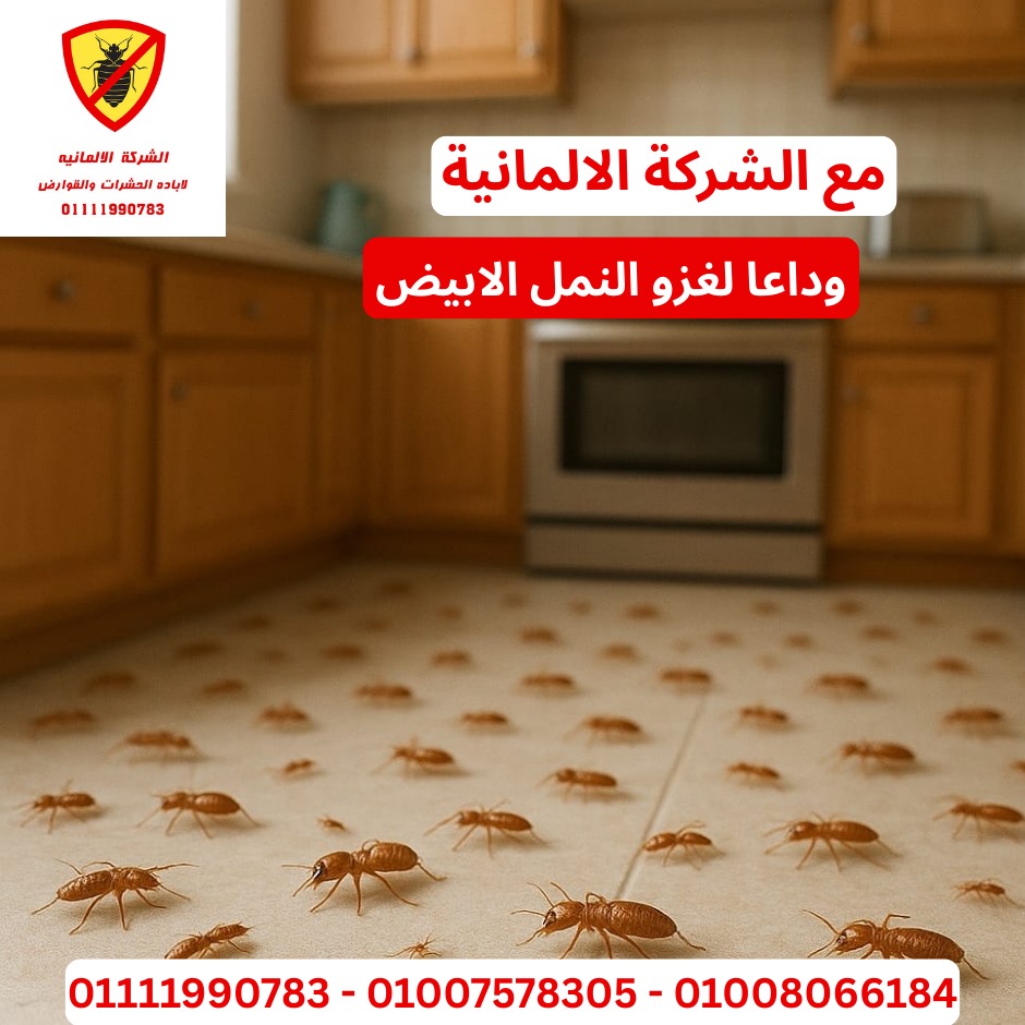 مكافحة النمل الأبيض - مبنى إداري