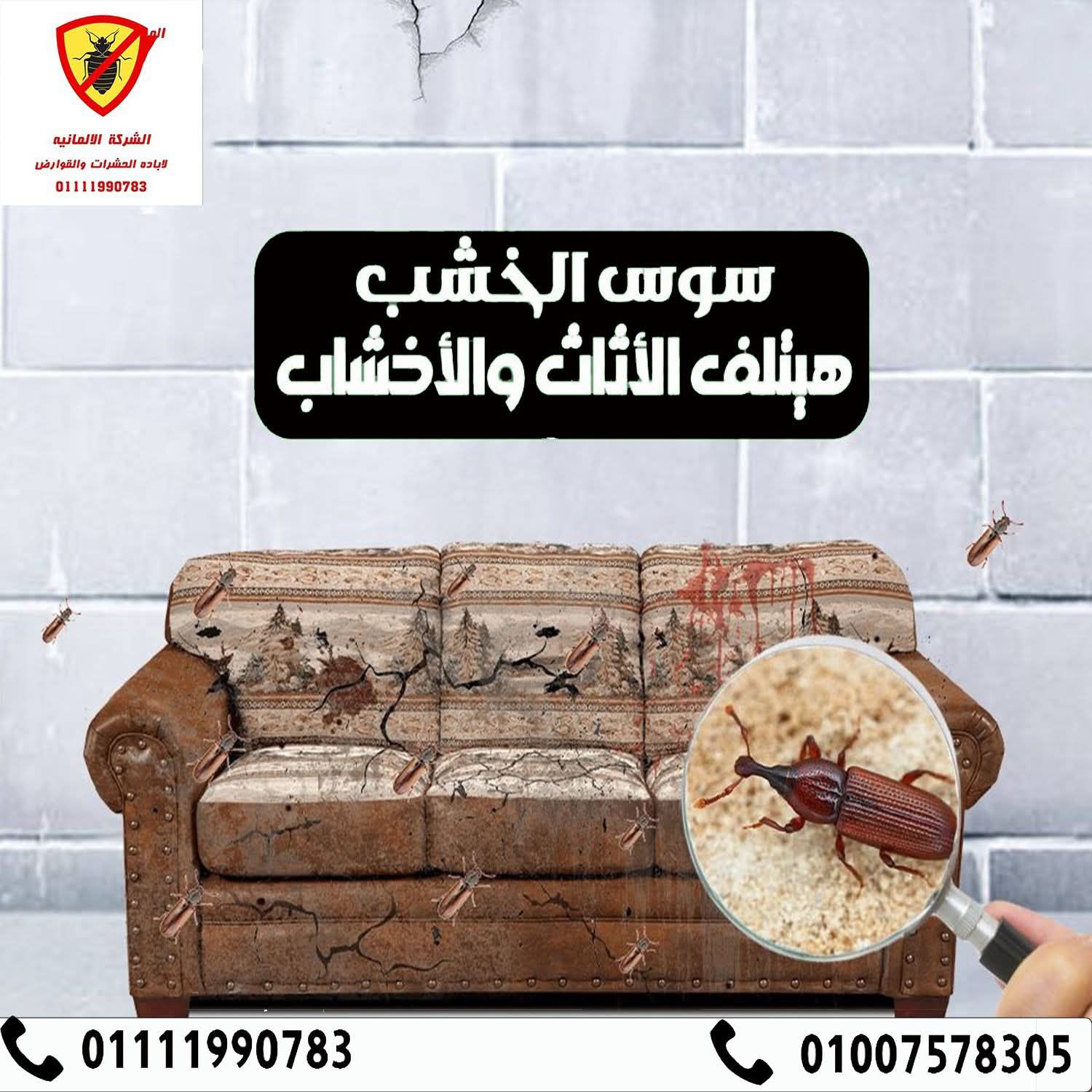 مكافحة سوس الخشب - خدمات الشركة الألمانية لمكافحة الآفات