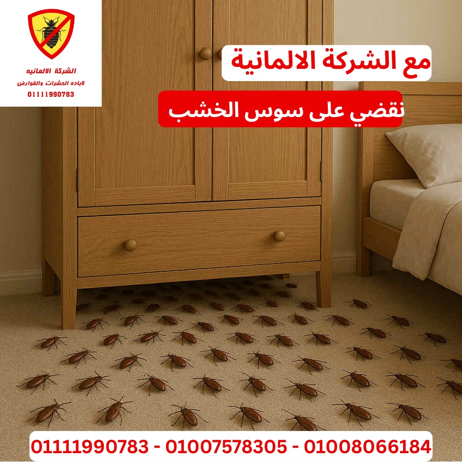 معالجة سوس الخشب - منزل تراثي